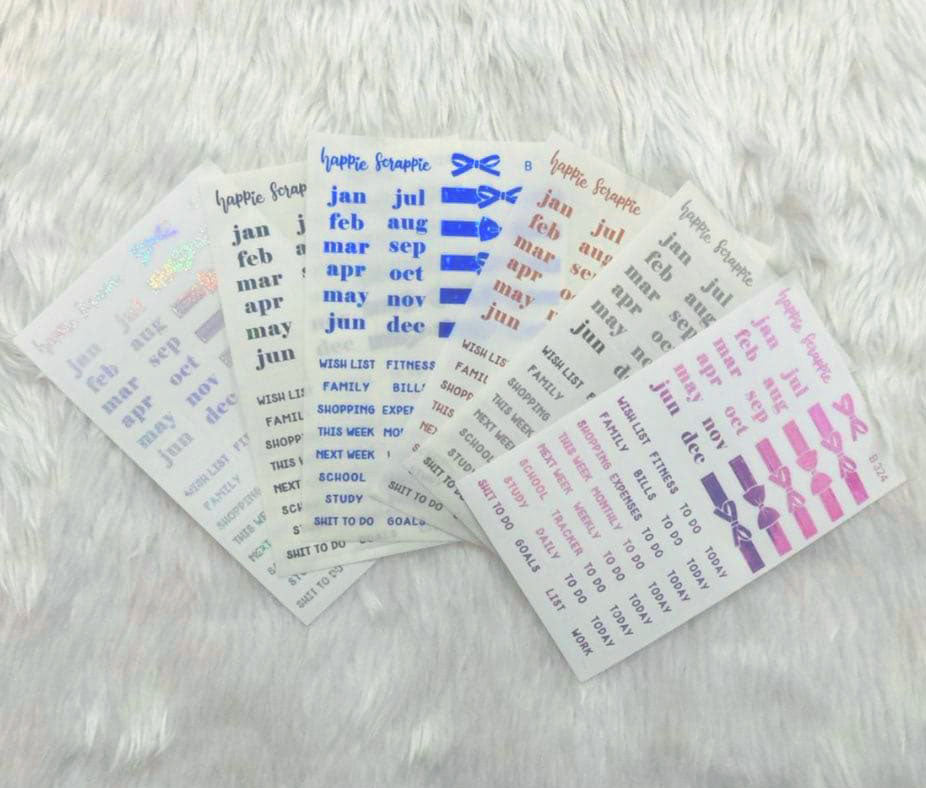 Planner Stickers : Foiled Clear Label Stickers // B324