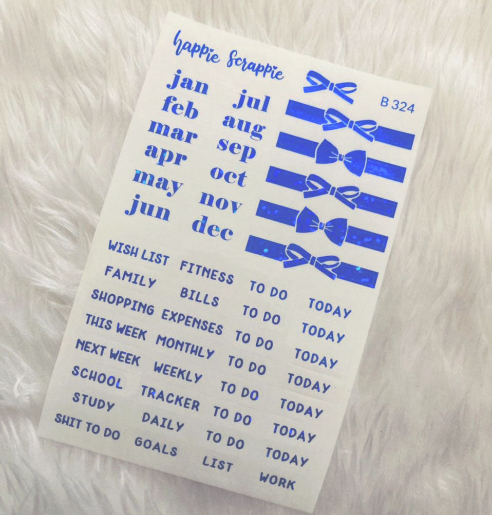 Planner Stickers : Foiled Clear Label Stickers // B324